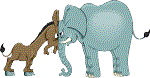 elephant-donkey.gif