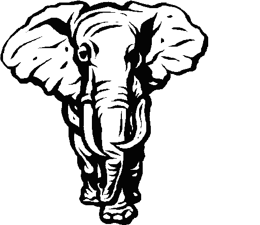 elephant.jpg