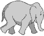 elephants_walking.gif